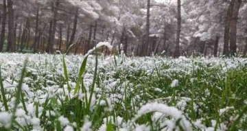 Şanlıurfa’da mart ayında kar