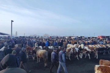 Şap tehlikesiyle kapatılmıştı, açılmasına günler kaldı