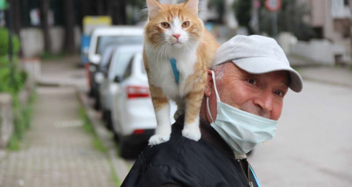Şehir şehir, sokak sokak kedisini omuzunda gezdiriyor