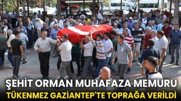 Şehit orman muhafaza memuru Tükenmez Gaziantep'te toprağa verildi