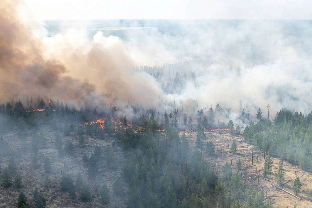 Sibirya'daki orman yangınları yerleşim alanlarını tehdit etmeye devam ediyor
