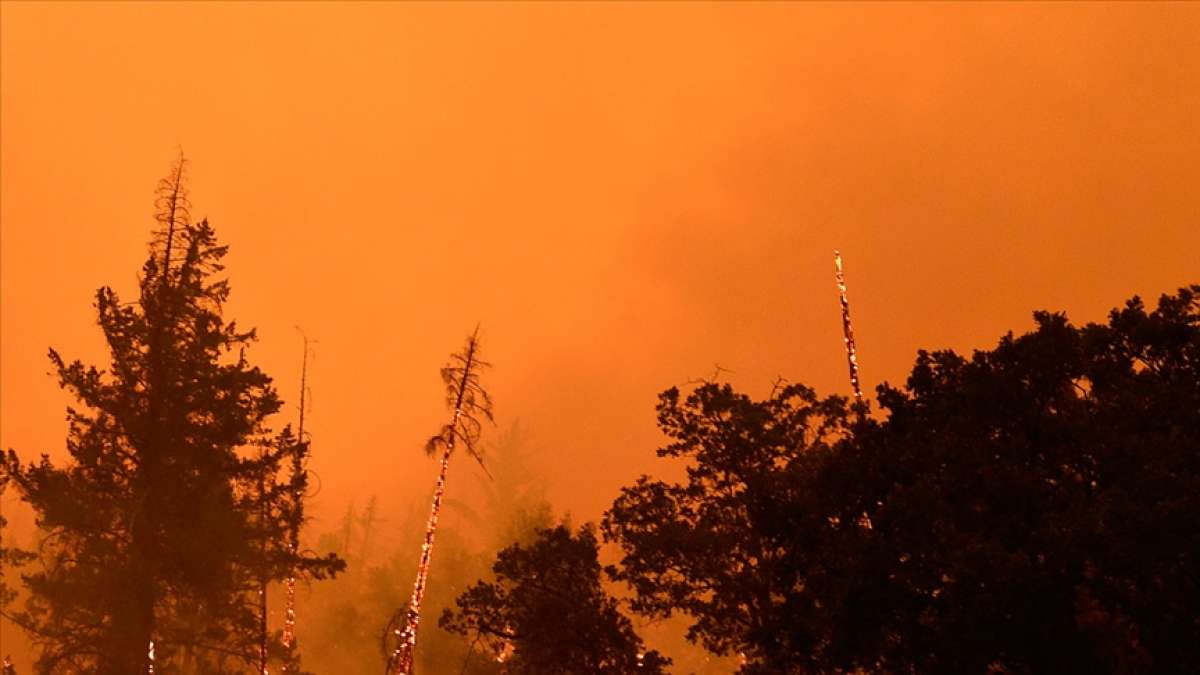 Sibirya'daki orman yangınlarının dumanı ilk kez Kuzey Kutbu'na kadar ulaştı