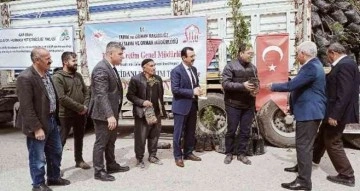 Siirt’te bin 700 dekar üzerine ’Siirt fıstığı’ ve ’Trabzon hurması’ dikimi yapılacak