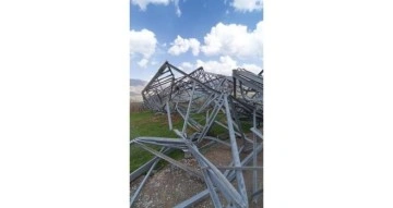 Siirt&rsquo;te fırtınada devrilen direk fıstık ağa&ccedil;larının &uuml;st&uuml;ne d&uuml;şt&uuml;