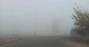Siirt’te sabahın erken saatlerinde yola çıkan sürücüler sise yakalandı