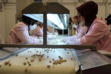 Siirt'ten Çin'e yarım milyon dolarlık fıstık ihracatı yapıldı