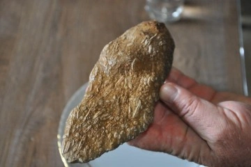 Şırnak’ta 50 milyon yıllık olduğu değerlendirilen fosil bulundu