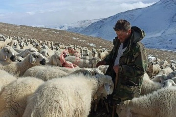 Sivaslı çoban sosyal medyayı salladı