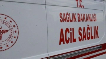 Sivas'ta köpeğin saldırısına uğrayan kadın yaralandı