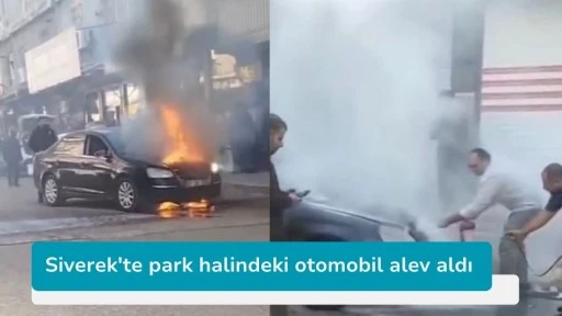 Siverek'te park halindeki otomobil alev aldı