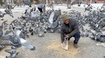 Soğuk hava ve karın etkili olduğu Ardahan'da vatandaşlar güvercinleri besledi