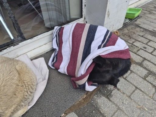 Soğuk Havada Sıcacık Bir Dokunuş