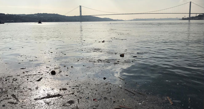 Sokağa çıkma kısıtlamasında İstanbul Boğazı'nda çöp adaları oluştu
