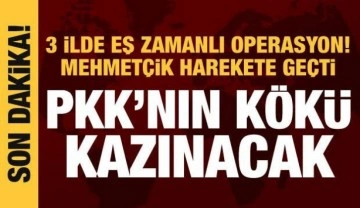 Son dakika haberi: 3 ilde PKK'ya sonbahar-kış operasyonu!