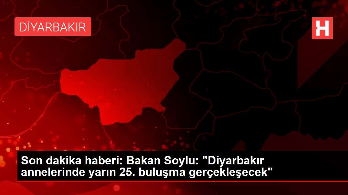 Son dakika haberi: Bakan Soylu: 'Diyarbakır annelerinde yarın 25. buluşma gerçekleşecek'