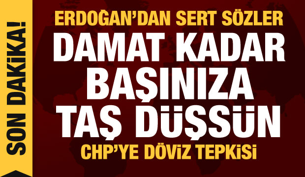 Son dakika haberi! Erdoğan'dan Berat Albayrak açıklaması: Damat kadar başınıza taş düşsün