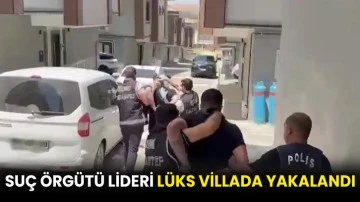 Suç örgütü lideri lüks villada yakalandı