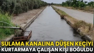 Sulama kanalına düşen keçiyi kurtarmaya çalışan kişi boğuldu