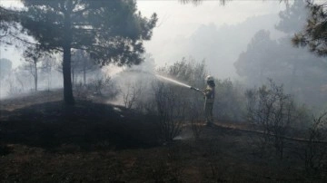 Sultangazi'de ormanlık alanda çıkan yangın kontrol altına alındı
