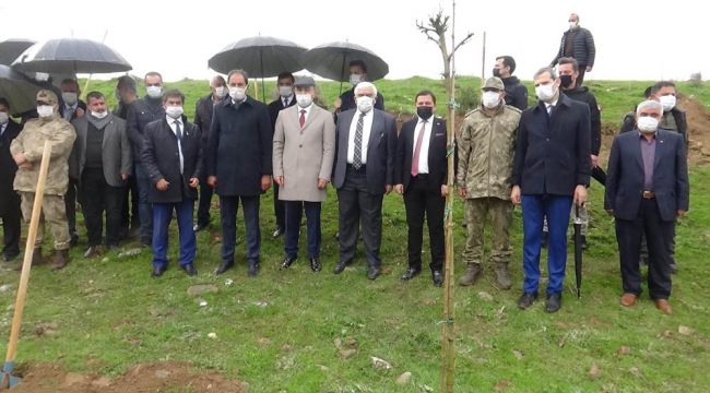 Suriye sınırında yağmur altında fidanlar toprakla buluşturuldu 