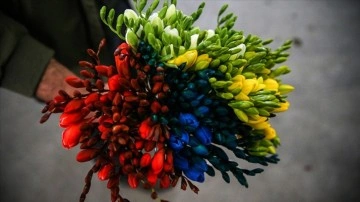 S&uuml;s bitkileri &uuml;retiminde 2022'de rekor artış yaşandı