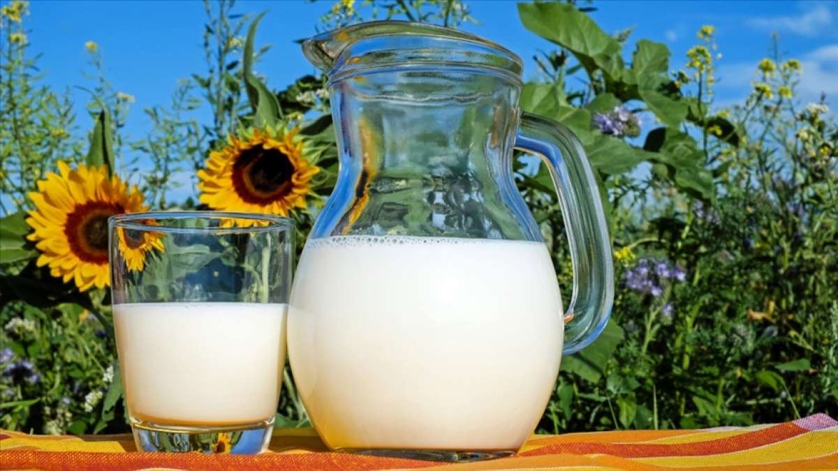 Süt ve süt ürünlerindeki ihracat bu yıl Çin etkisiyle arttı
