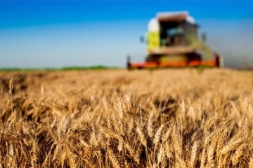 Tarım-GFE yıllık yüzde 138,15 arttı