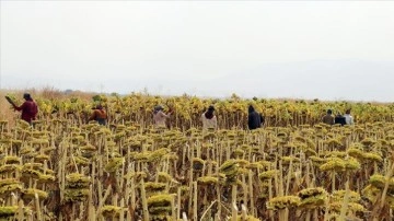 Tarım iş&ccedil;ilerinin g&uuml;nl&uuml;k &uuml;creti 2022'de artış kaydetti