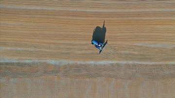 Tarım sekt&ouml;r&uuml;nden ihracatta ocak rekoru