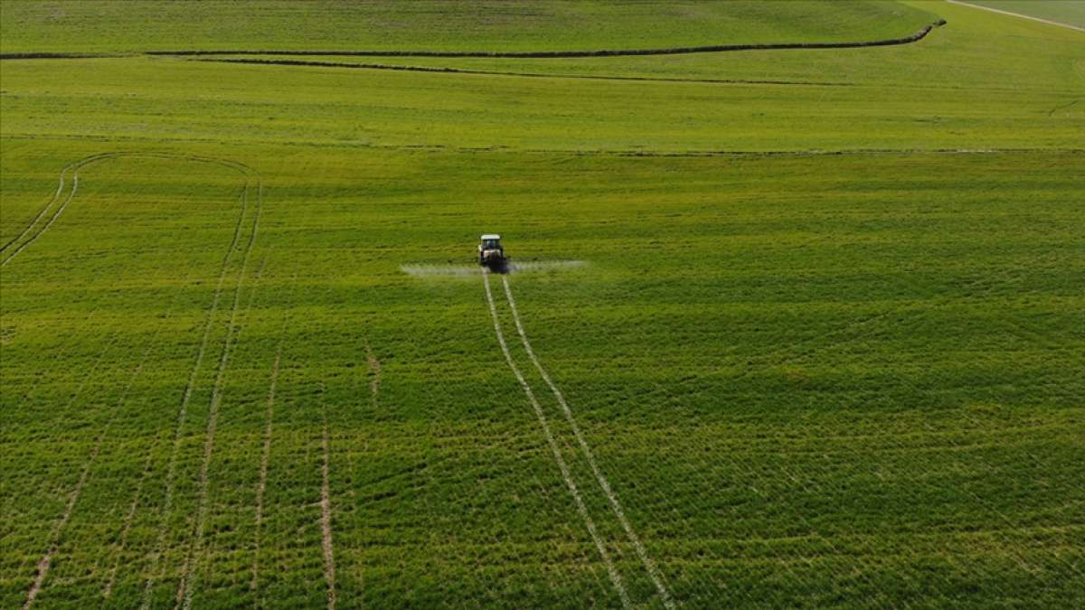 Tarım ÜFE şubatta aylık bazda yüzde 2,61 arttı