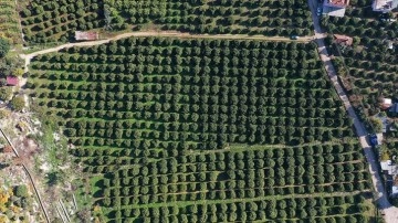 Tarım ve Orman Bakanlığı coğrafi işaretli ürünleri korumada yeni teknolojileri kullanmaya başladı