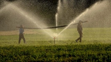 Tarım yatırımlarında bu yıl en b&uuml;y&uuml;k pay sulama projelerine ayrıldı