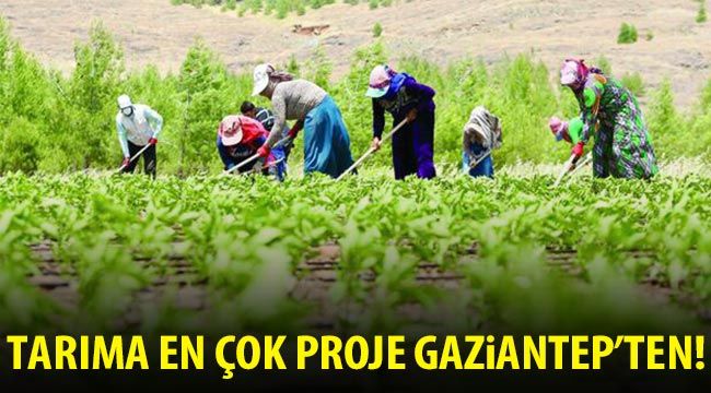 Tarıma en çok proje Gaziantep'ten!