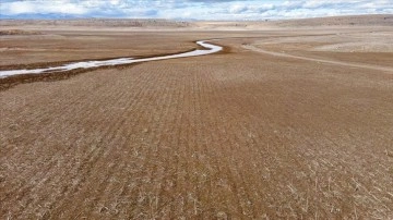 Tarla bitkileri profes&ouml;r&uuml;nden &ccedil;ift&ccedil;iye kurak d&ouml;nem i&ccedil;in tavsiyeler