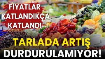 Tarlada artış durdurulamıyor! Fiyatlar Katlandık&ccedil;a Katlandı 