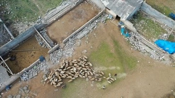 TARSİM, deprem b&ouml;lgesinde 11 milyon TL hasar &ouml;demesi yaptı