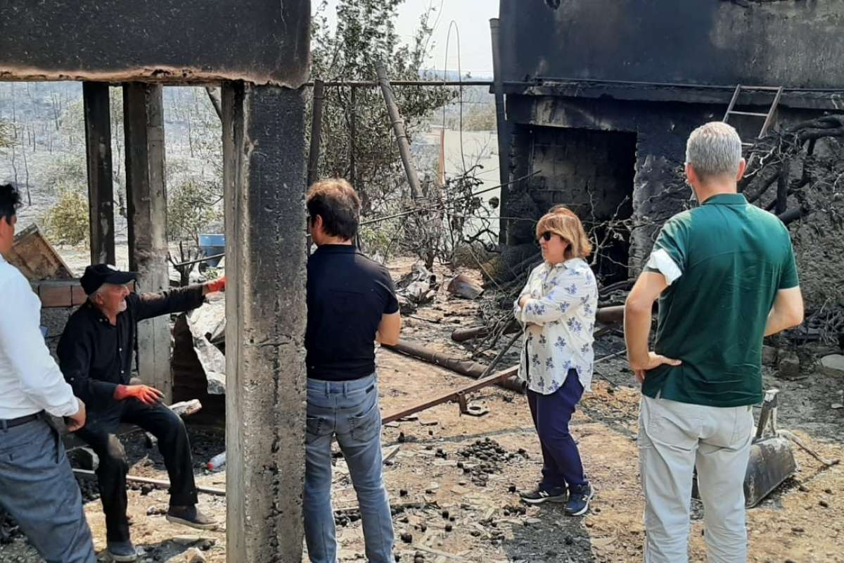 TARSİM'den yangın hasarlarına ilişkin açıklama