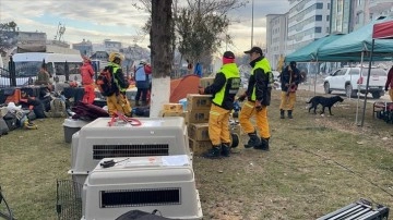 Tayvan'dan 44 kişilik arama kurtarma ekibi Adıyaman'da