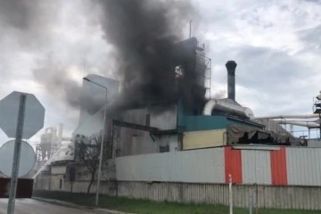 Tekirdağ'da kereste fabrikasında yangın