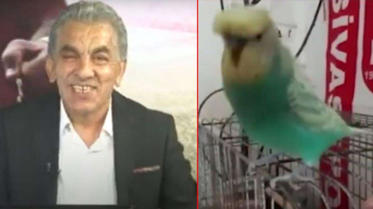 Televizyon tarihinde görülmemiş olay! Sivassporlu muhabbet kuşu spor programı sundu
