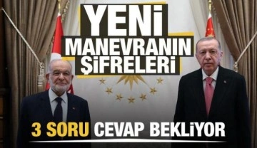Temel Karamollaoğlu'nun Başkan Erdoğan'la görüşme "manevrasıyla" cevap aranan 3