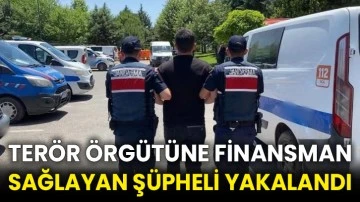 Terör örgütüne finansman sağlayan şüpheli yakalandı