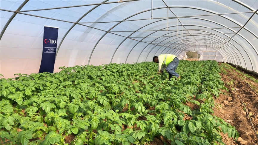 TİKA'dan Lübnan'daki Türkmenlere tarımcılık desteği