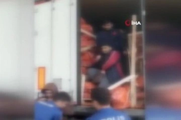 Tır dorsesinde 81 düzensiz göçmen yakalandı