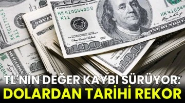 TL'nin değer kaybı sürüyor: Dolardan tarihi rekor