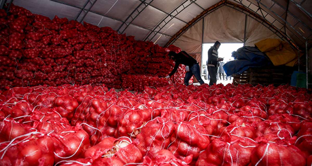 TMO, çiftçinin elinde kalan patates ve kuru soğanı maliyet fiyatına satın almaya başladı