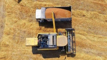 TMO deprem b&ouml;lgesinde kota sınırı olmadan alımlara devam ediyor