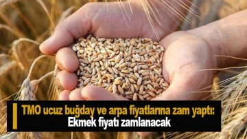 TMO ucuz buğday ve arpa fiyatlarına zam yaptı: Ekmek fiyatı zamlanacak
