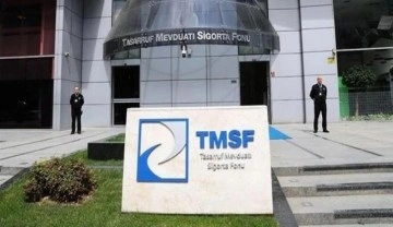 TMSF iki şirketi daha satışa çıkardı
