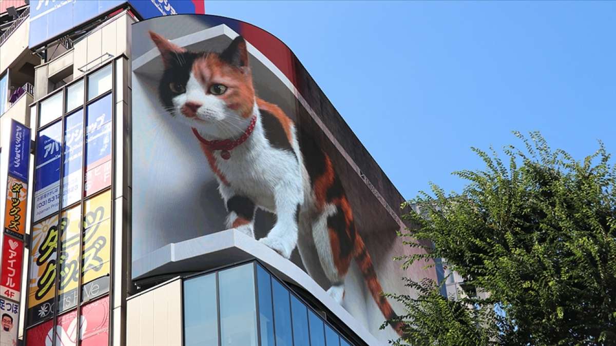 Tokyo'nun yeni misafiri 3D kedi, şehri izliyor ve halkı selamlıyor